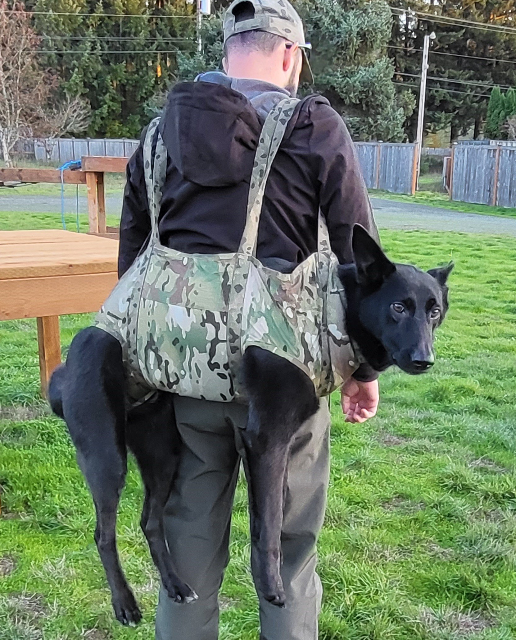 Recommended Gear — NW K9